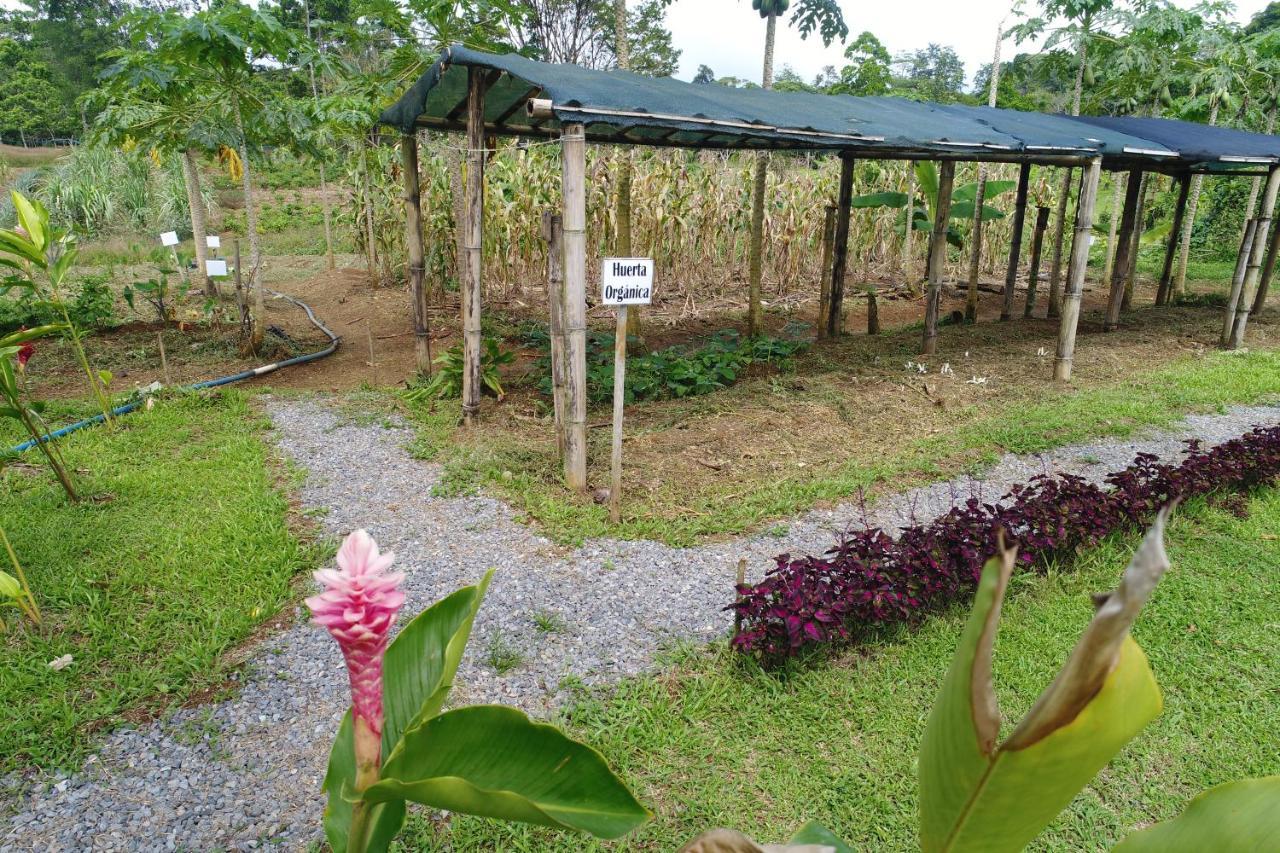 Hope Garden, Sarapiqui, We Connect You With The Sarapiqui Tropical Forest מראה חיצוני תמונה