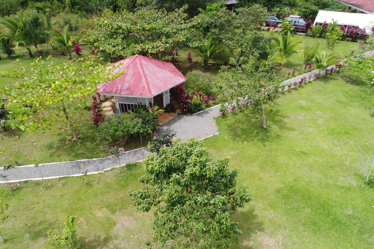 Hope Garden, Sarapiqui, We Connect You With The Sarapiqui Tropical Forest מראה חיצוני תמונה