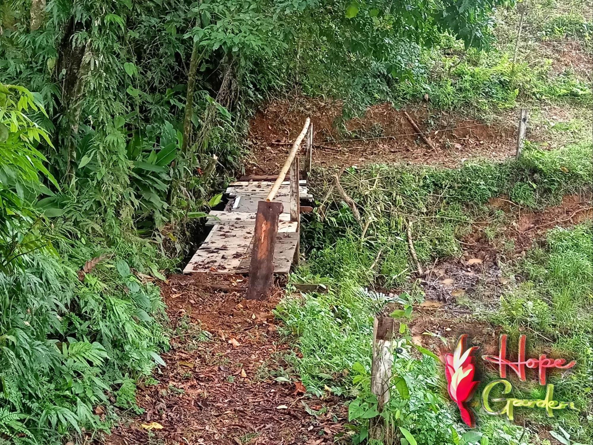 Hope Garden, Sarapiqui, We Connect You With The Sarapiqui Tropical Forest מראה חיצוני תמונה