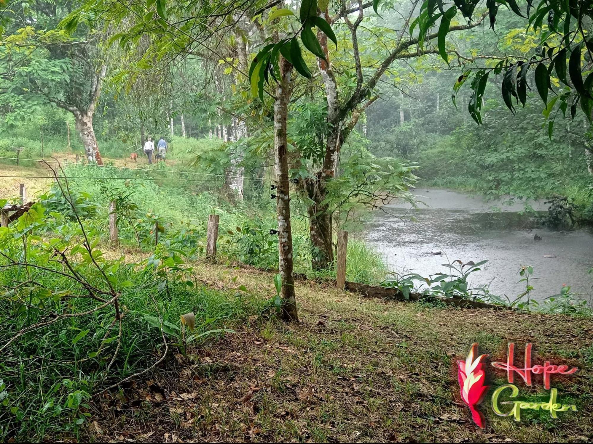 Hope Garden, Sarapiqui, We Connect You With The Sarapiqui Tropical Forest מראה חיצוני תמונה