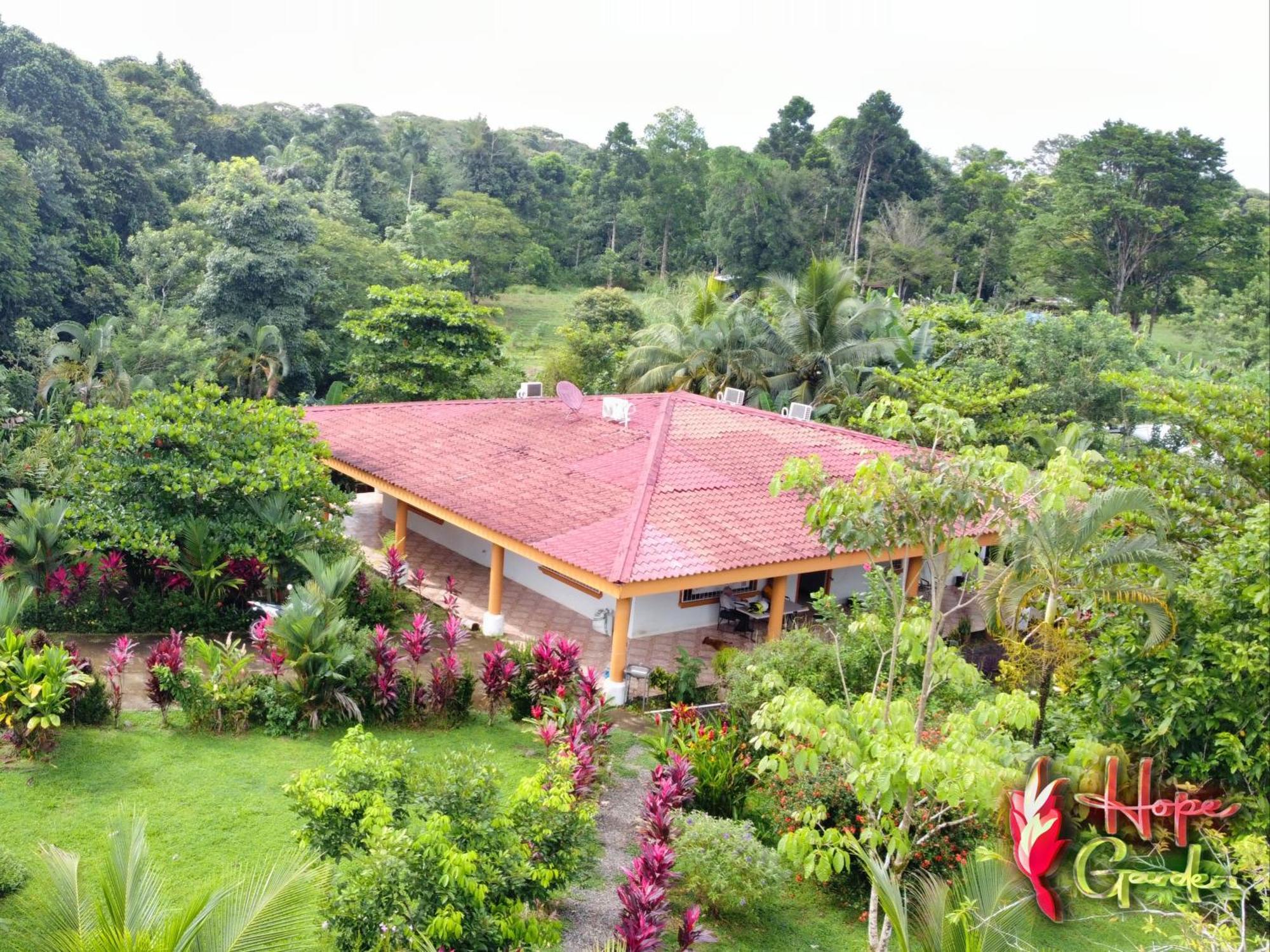 Hope Garden, Sarapiqui, We Connect You With The Sarapiqui Tropical Forest מראה חיצוני תמונה