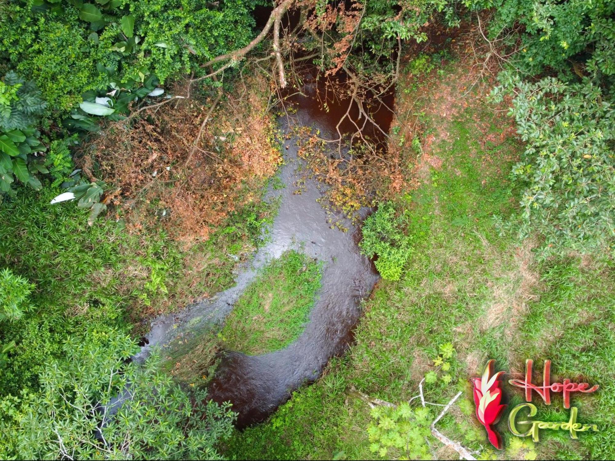 Hope Garden, Sarapiqui, We Connect You With The Sarapiqui Tropical Forest מראה חיצוני תמונה